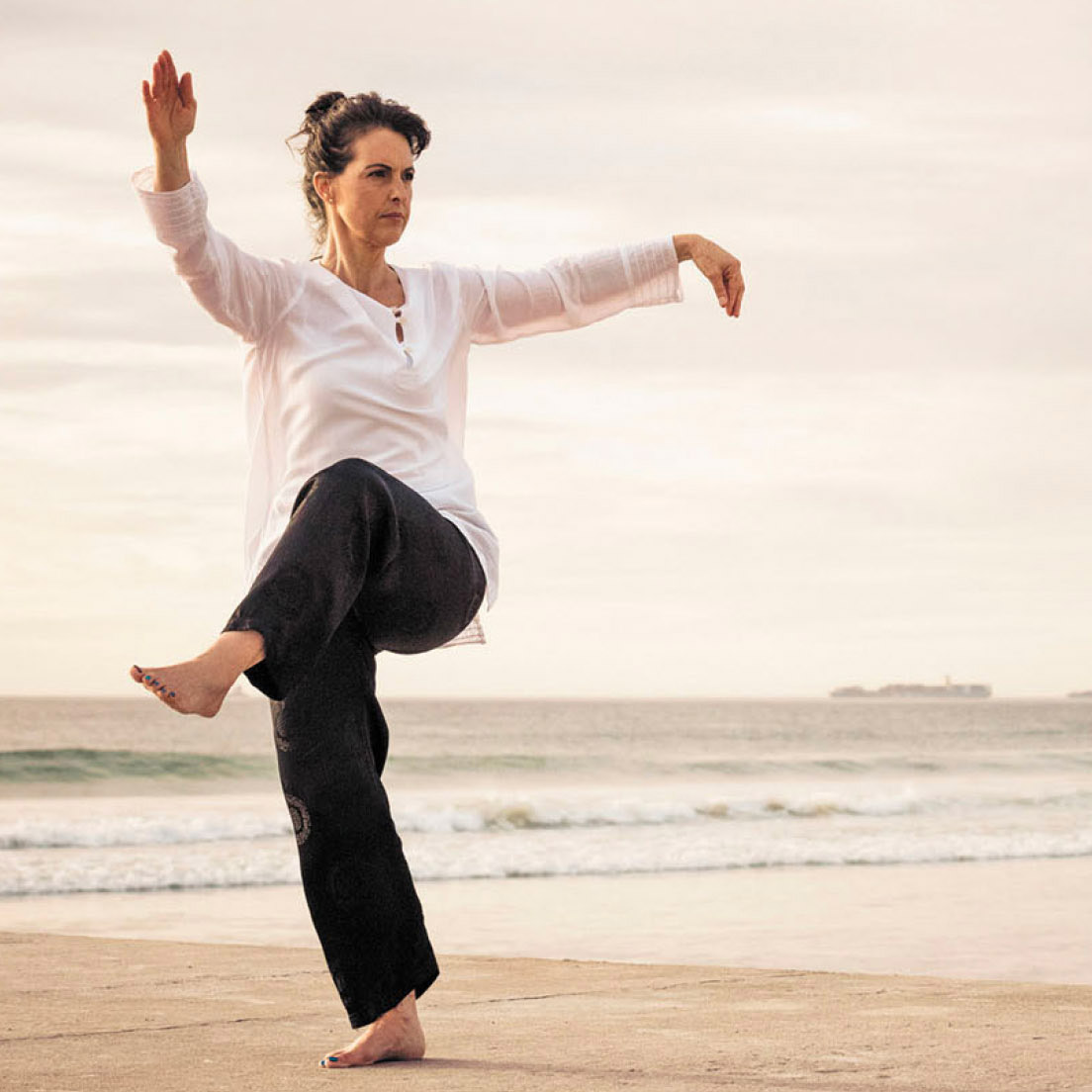 Tai Chi sample class