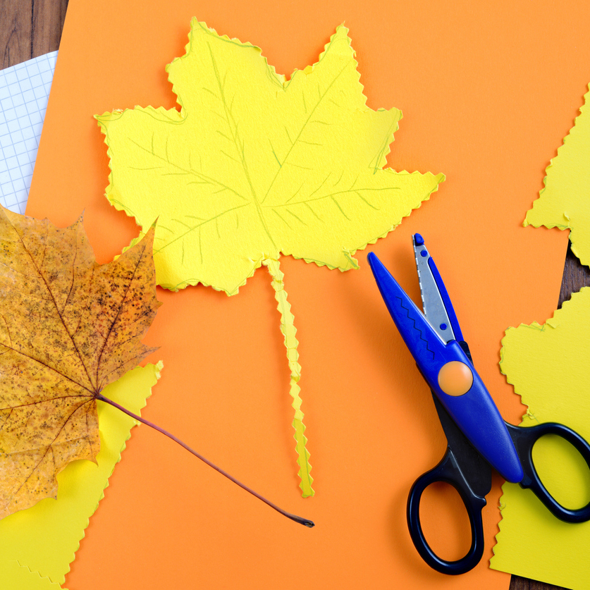Fall craft and supplies