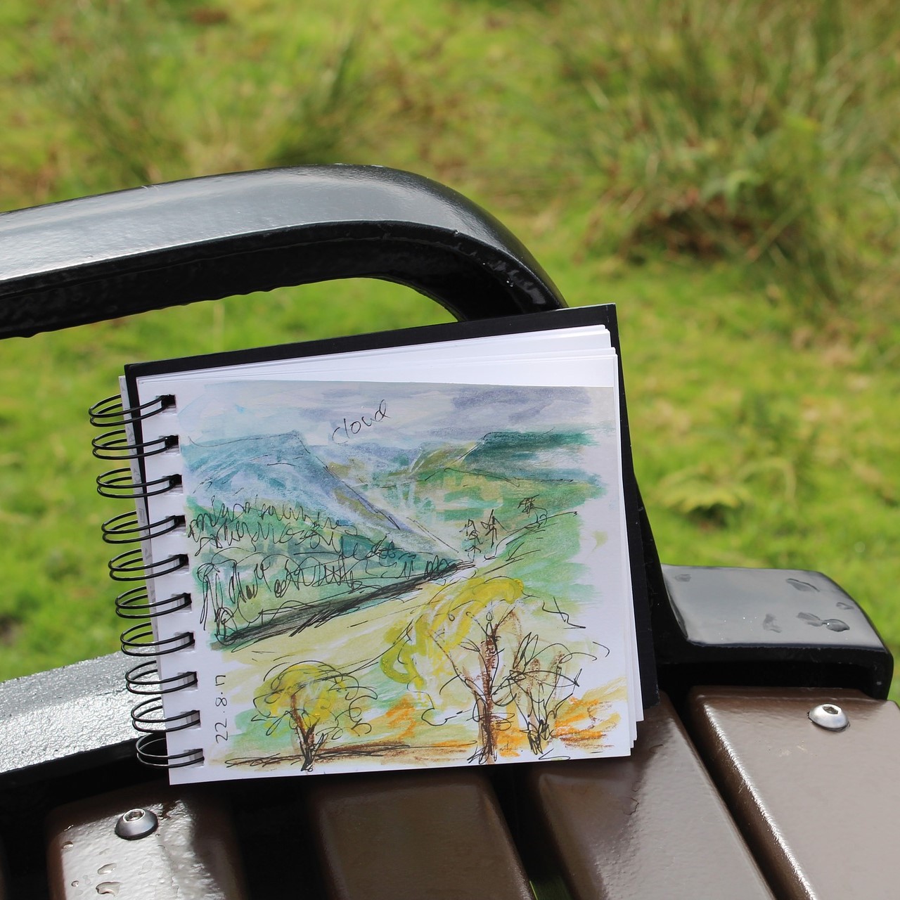 Drawing Plein Air