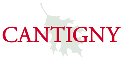 Cantigy logo