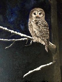 Owl on a branch