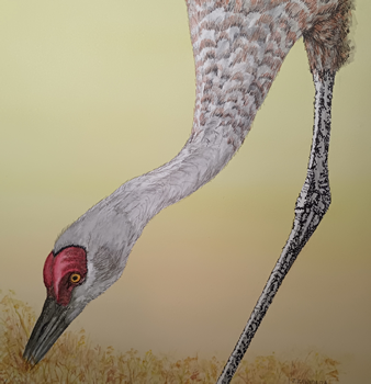 Painting of a bird