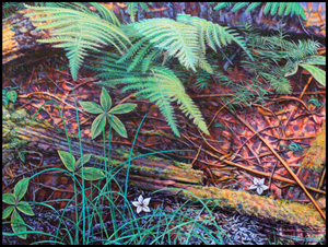 Leaves on the ground in the woods