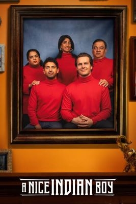 A Nice Indian Boy cover image