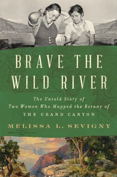 Brave the Wild River cover image