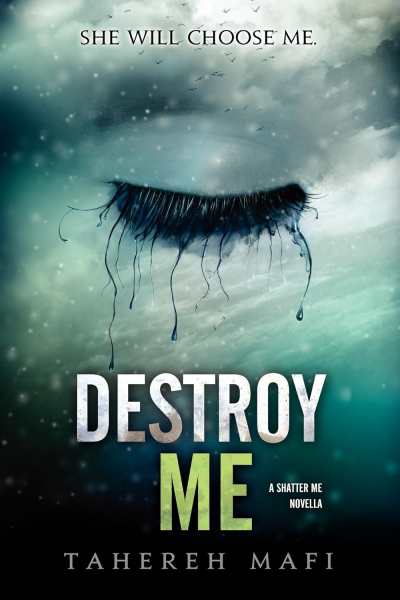 Destroy Me Book Cover