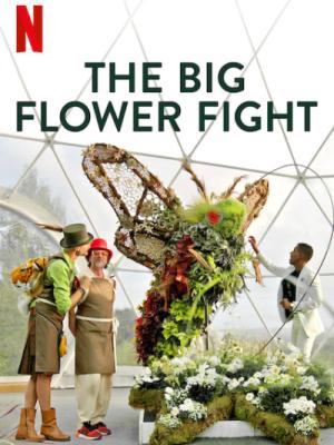 Big Flower Fight cover image