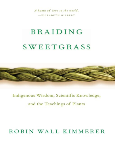Braiding Sweetgrass Cover