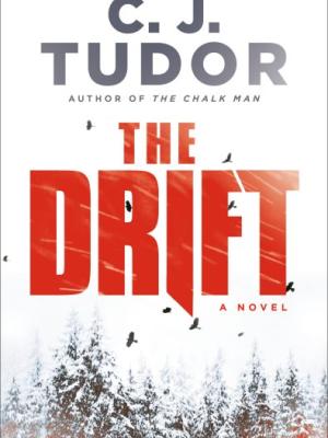 The Drift book cover image
