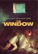 The window DVD cover