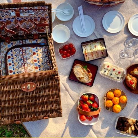 Sandwiches and salads prepared for picnic