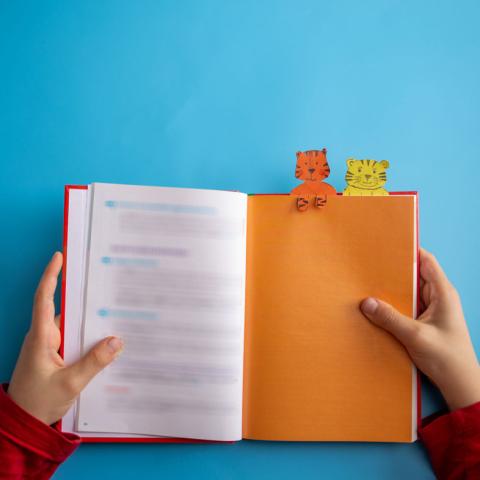 Open book with bookmarks