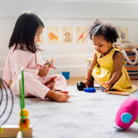 Toddler girls playing with toys