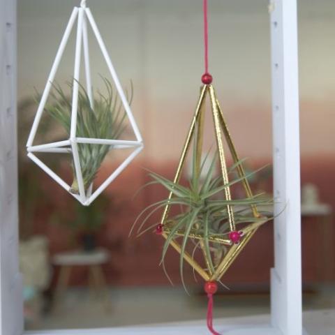 Air plant hanger made from straws