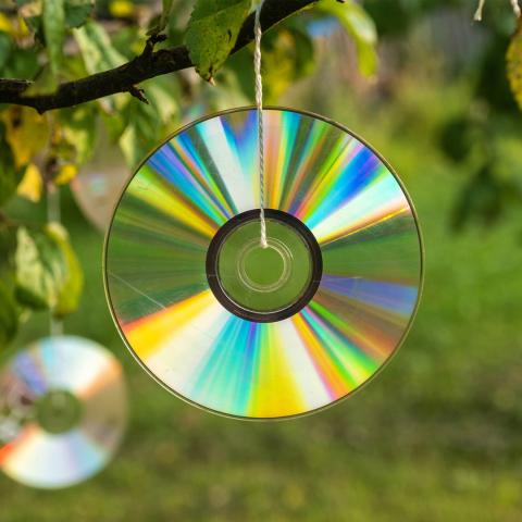 CD suncatcher hanging in tree