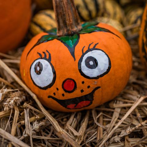 pumpkin painted with a face