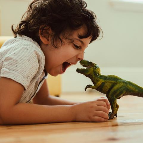 Boy playing with a dinosaur toy