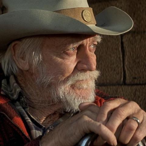 cast of The Straight Story movie