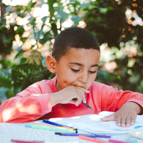 Child looking at paper holding color pencil