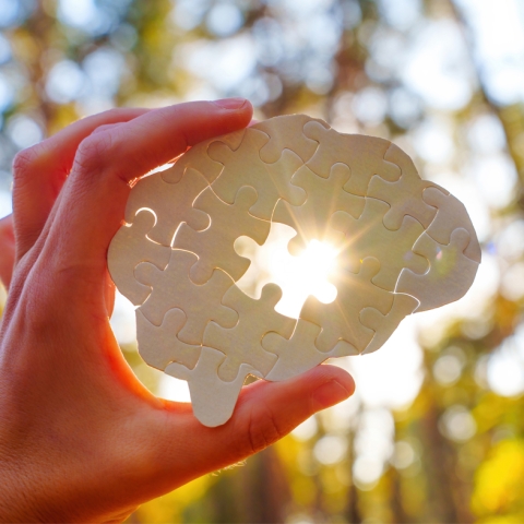 Brain puzzle being held up to sun