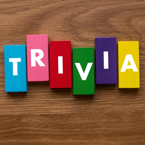 colorful blocks that spell out "trivia" on a wood table
