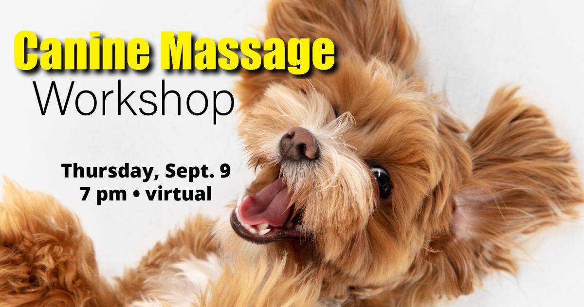 Canine Massage