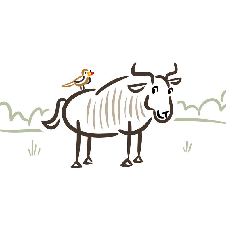 Cartoon buffalo and bird by Mark Anderson