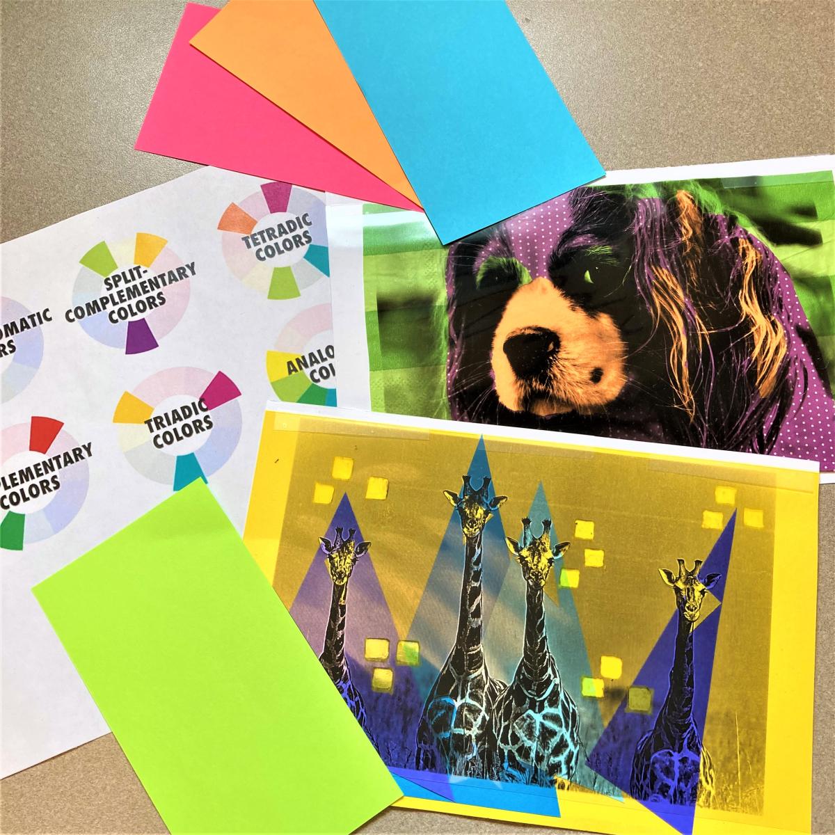 Collage using a black and white animal image and bright colors