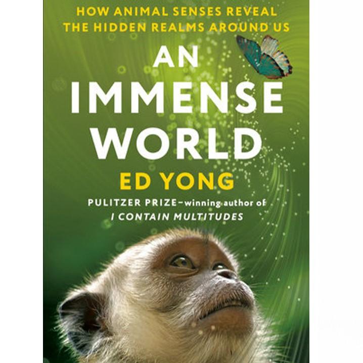 An Immense World book cover