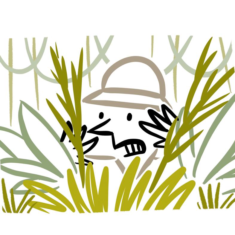 Mark Anderson cartoon adventurer