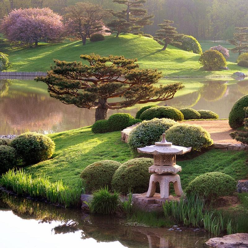 Japanese style garden with stone lantern