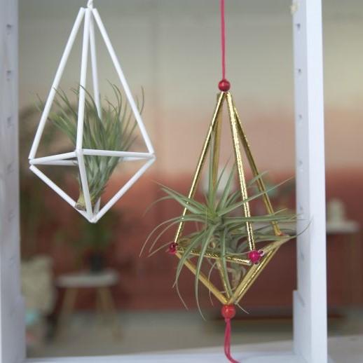 Air plant hanger made from straws