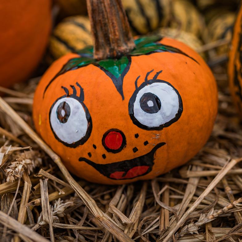 pumpkin painted with a face