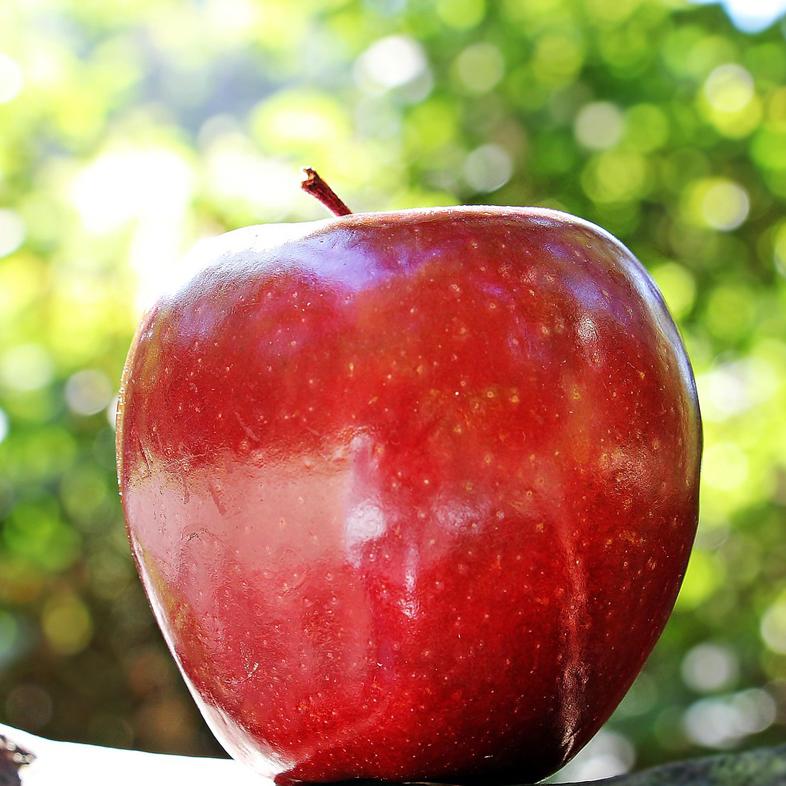 Red apple 