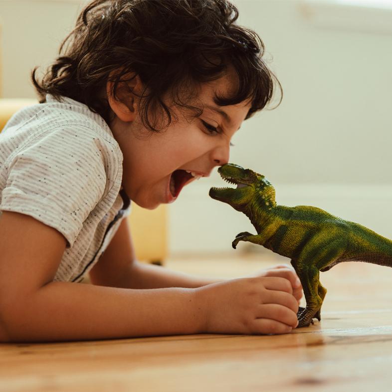 Boy playing with a dinosaur toy