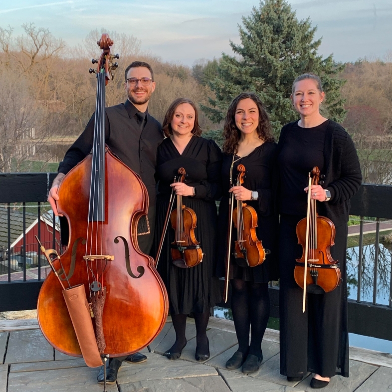 New vintage strings band