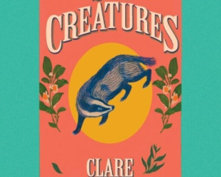 Shy Creatures cover image