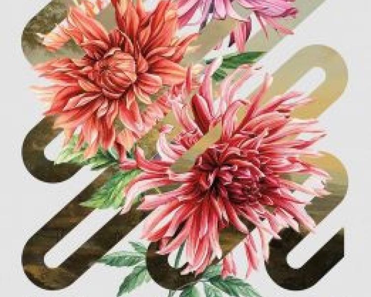 The River Has Roots cover