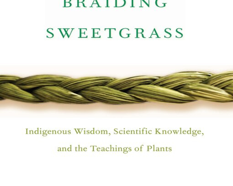 Braiding Sweetgrass Cover