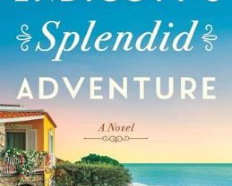 Mrs. Endicott's Splendid Adventure cover image